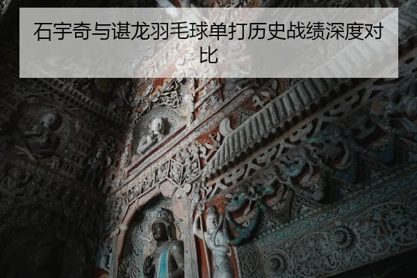 石宇奇与谌龙羽毛球单打历史战绩深度对比